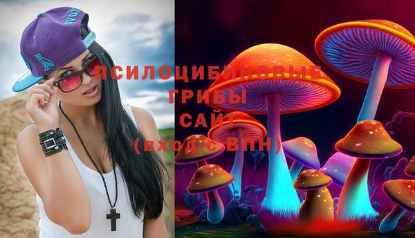 амф Белоозёрский