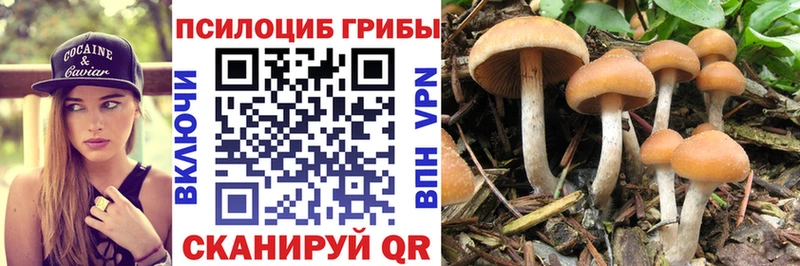 Галлюциногенные грибы Cubensis Надым